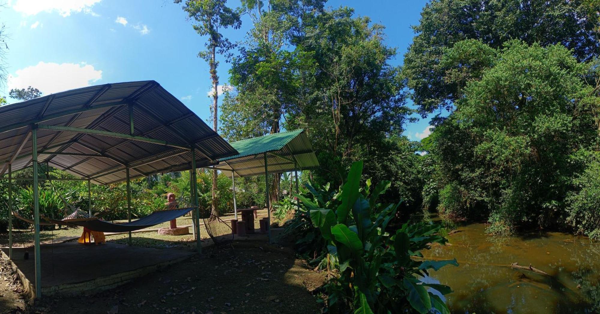 Finca La Paz Puerto Viejo de Sarapiqui Exterior foto